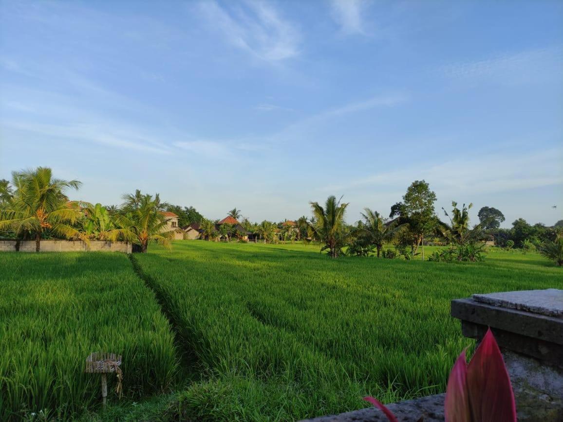 Anggarakasih Ubud Villa Zewnętrze zdjęcie